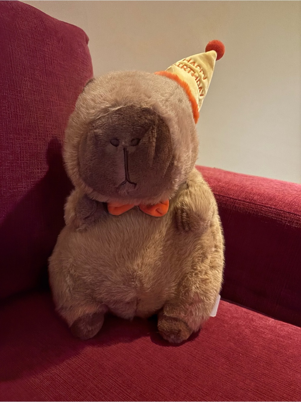 Plush Kawaii Brown Birthday Capybara Stuffed Animal - Picture 3 of 6